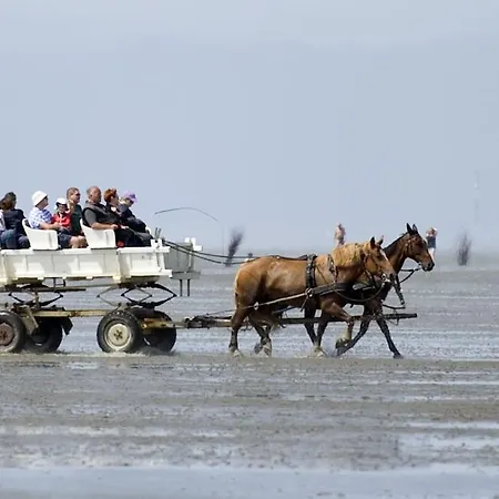 فندق Badhotel Sternhagen كوكسهافن